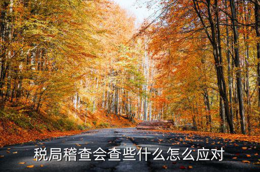 發(fā)票稽查查什么，稅局稽查會(huì)查些什么怎么應(yīng)對(duì)