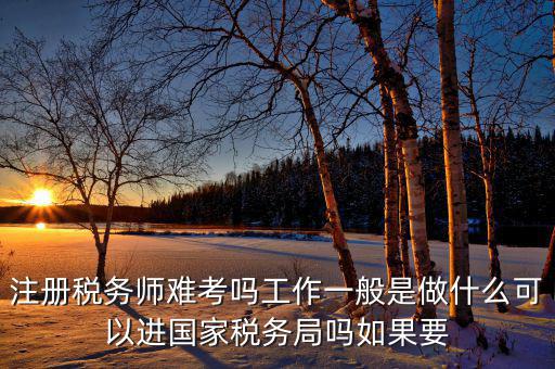 稅務(wù)師是什么，注冊(cè)稅務(wù)師能干什么待遇怎么樣