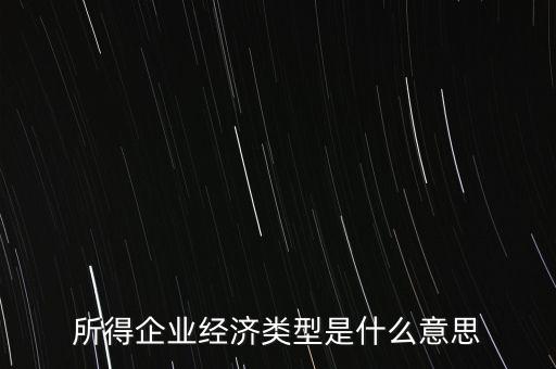 所得項目是什么意思，所得企業(yè)經(jīng)濟類型是什么意思