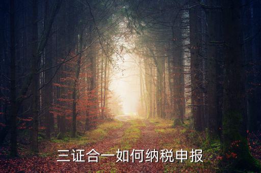 三證合一用什么報(bào)稅，三證合一如何納稅申報(bào)