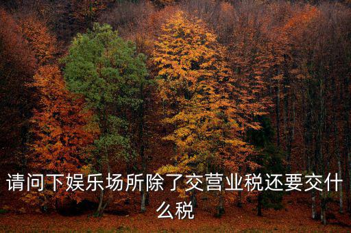 娛樂業(yè)交什么稅，請問下娛樂場所除了交營業(yè)稅還要交什么稅