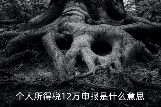 申報(bào)個(gè)稅是什么意思，12萬(wàn)以上個(gè)人所得稅申報(bào)是什么意思