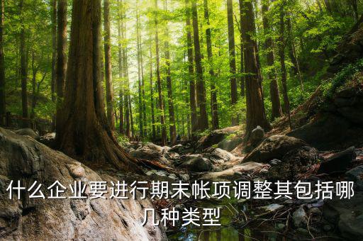 什么企業(yè)要進(jìn)行期末帳項調(diào)整其包括哪幾種類型