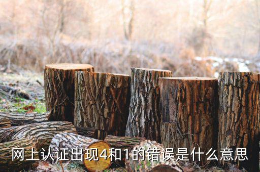 認證發(fā)票4是什么問題，認證發(fā)票通常會碰到哪些問題
