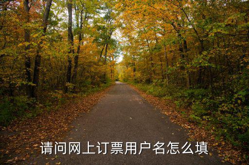 預(yù)約發(fā)票用戶名是什么，開票客戶名稱是指