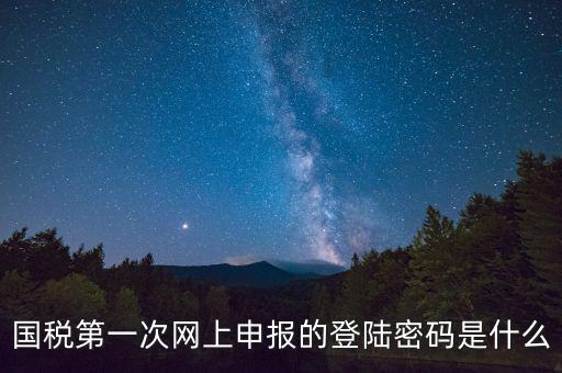 國稅登錄賬號密碼是什么意思，國稅第一次網(wǎng)上申報(bào)的登陸密碼是什么