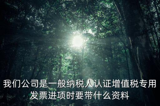 我們公司是一般納稅人認(rèn)證增值稅專用發(fā)票進項時要帶什么資料