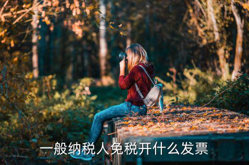 一般納稅人領(lǐng)什么票，一般納稅人免稅開什么發(fā)票