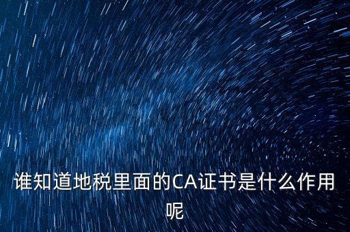 誰(shuí)知道地稅里面的CA證書是什么作用呢