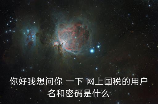 稅號(hào)和密碼是什么，國稅第一次網(wǎng)上申報(bào)的登陸密碼是什么