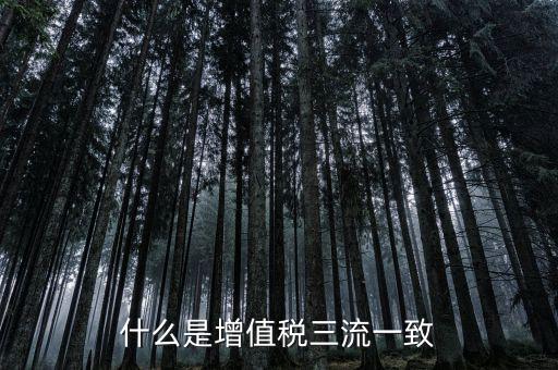 發(fā)票的流向相符是什么意思，普通增值稅發(fā)票資金流向要相符嗎