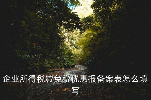什么是稅收優(yōu)惠備案表，企業(yè)所得稅優(yōu)惠備案表填寫(xiě)急