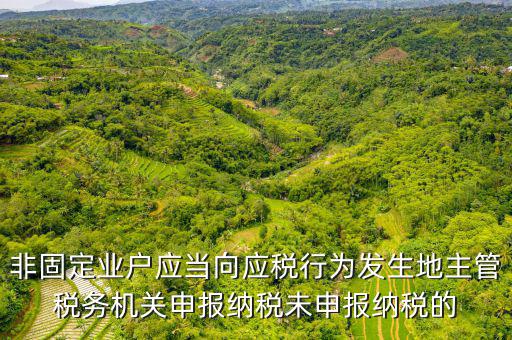 非固定業(yè)戶應(yīng)當(dāng)向應(yīng)稅行為發(fā)生地主管稅務(wù)機(jī)關(guān)申報納稅未申報納稅的
