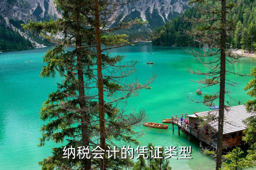 應納稅憑證種類是什么意思，總賬里關于記賬憑證的種類和號數(shù)是什么意思