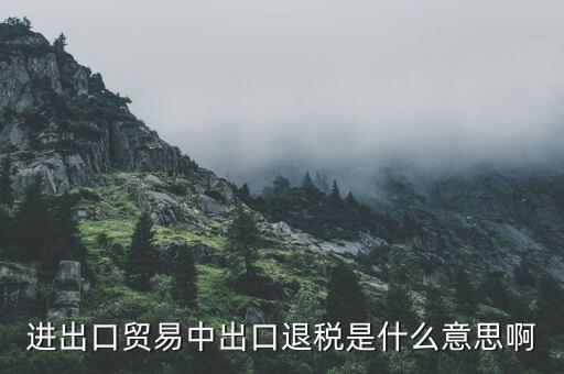 什么是增值稅出口退稅，出口退稅指的是什么