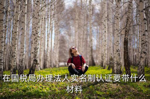 實名認證稅務需要什么資料，在國稅局辦理法人實名制認證要帶什么材料