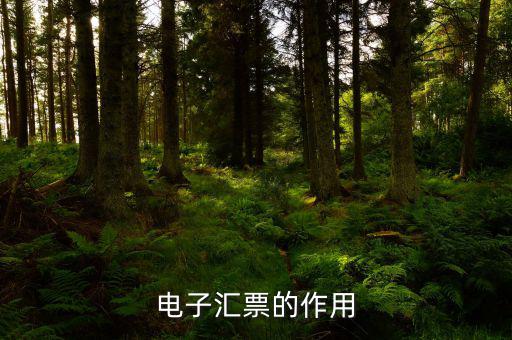 電子發(fā)票作用是什么，電子發(fā)票系統(tǒng)能做什么用