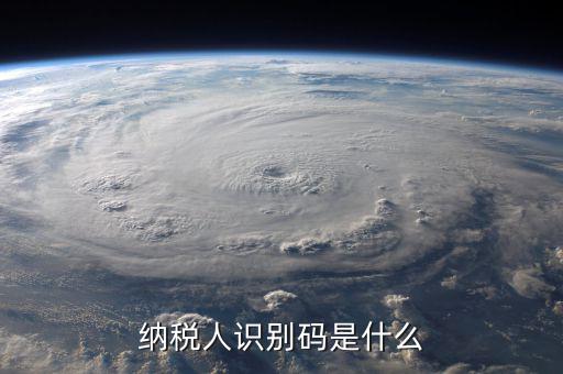 納銳人識(shí)別號(hào)是什么，納稅人識(shí)別碼是什么