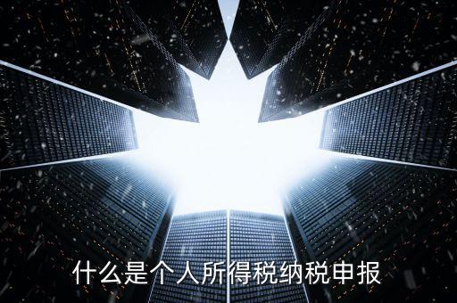 什么是個人所得稅納稅申報(bào)