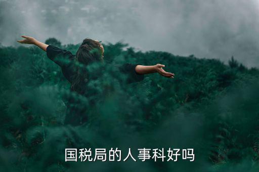 國(guó)稅人事科做什么，縣國(guó)稅局的人事歸哪里管基層分局的級(jí)別