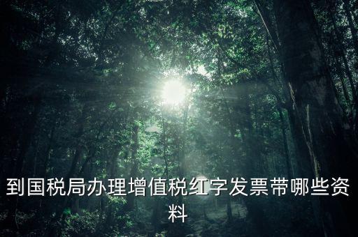 開紅字增票要帶些什么，增值稅普通發(fā)票開具紅字發(fā)票需要什么資料