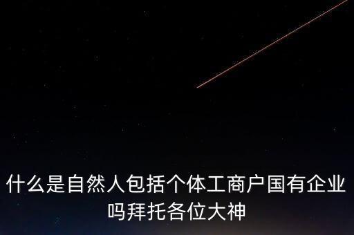 稅務(wù)上的自然人指的是什么，申請人為自然人的是什么意思