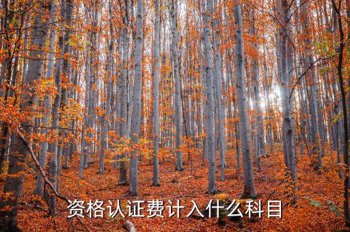認(rèn)證服務(wù)費(fèi)什么，申請(qǐng)微信公眾賬號(hào)認(rèn)證服務(wù)費(fèi)什么意思