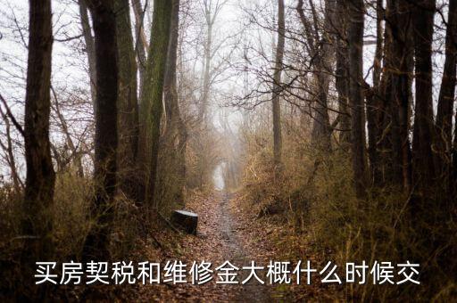 買(mǎi)商品房稅什么時(shí)候交，買(mǎi)房契稅和維修金大概什么時(shí)候交