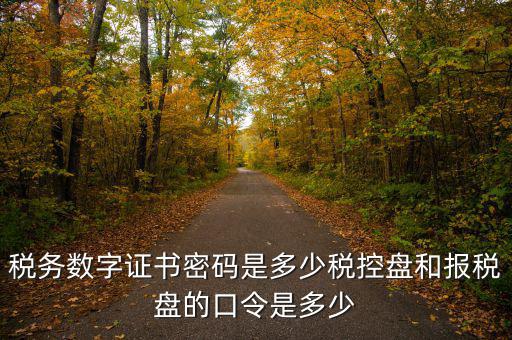寧波國稅ca密碼是什么，寧波市電子稅務局登陸密碼