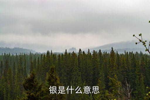 財(cái)稅庫(kù)銀是什么意思，銀是什么意思