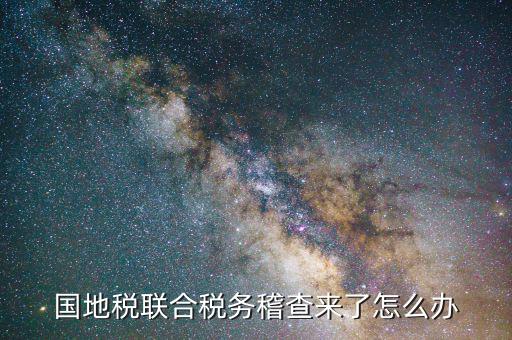 國地稅聯(lián)合稽查是什么意思，國地稅聯(lián)合稅費申報什么意思