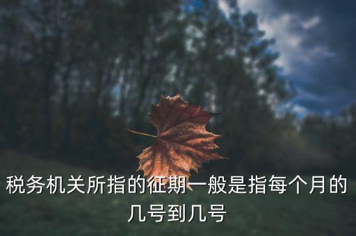什么時候可以建立征期，北京國稅網(wǎng)上申報系統(tǒng)是不是只能在每個月初才可以新建征期呢我