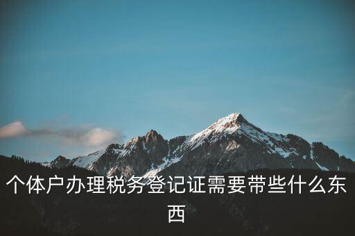 個體稅務登記證需要什么材料，個體戶辦理稅務登記證需要帶些什么東西