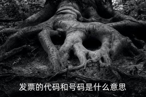 什么是打發(fā)票代碼，請教各位什么事發(fā)票代碼