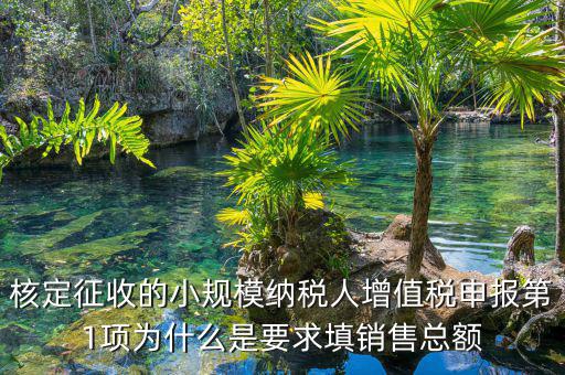 為什么要填增值稅申報，為什么公司老是要申報稅