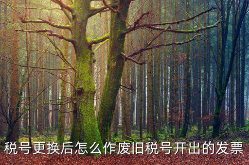 變稅號(hào)需要做什么，稅號(hào)更換后怎么作廢舊稅號(hào)開出的發(fā)票