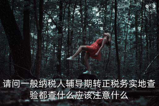 請(qǐng)問(wèn)一般納稅人輔導(dǎo)期轉(zhuǎn)正稅務(wù)實(shí)地查驗(yàn)都查什么應(yīng)該注意什么
