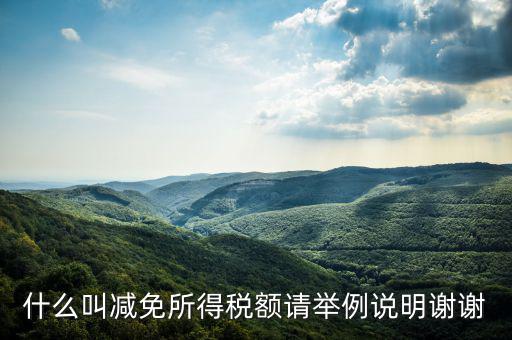 什么叫減免所得稅額請(qǐng)舉例說(shuō)明謝謝