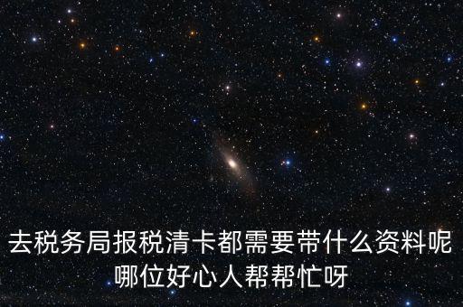 打稅務(wù)清單需要帶什么，我是個體商戶營業(yè)執(zhí)照掉了想去打印一份稅務(wù)清單需要帶些什么