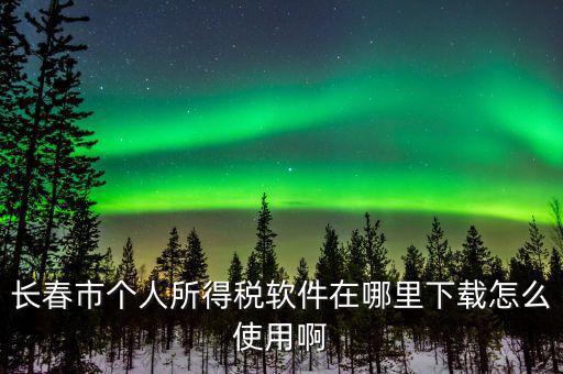 長春市個(gè)人所得稅軟件在哪里下載怎么使用啊