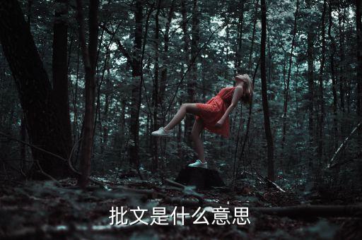 稅收個(gè)案批復(fù)是什么意思，批文是什么意思
