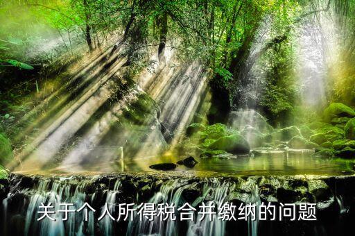 什么叫合并申報個稅，如何合并申報個人所得稅