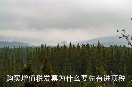 為什么要買進(jìn)項票，購買增值稅發(fā)票為什么要先有進(jìn)項稅