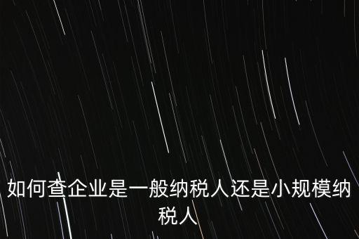查詢(xún)公司什么納稅人，如何查企業(yè)是一般納稅人還是小規(guī)模納稅人