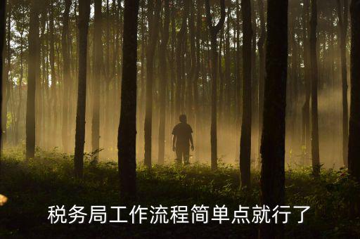 稅務(wù)局上班要什么手續(xù)，稅務(wù)局工作流程簡(jiǎn)單點(diǎn)就行了