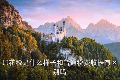 稅花什么樣，印花稅是什么樣子和普通稅費(fèi)收據(jù)有區(qū)別嗎