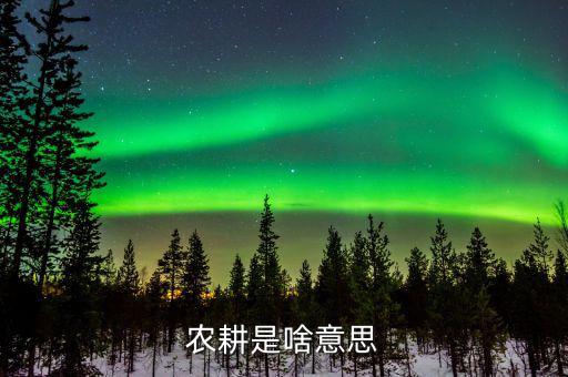 農(nóng)業(yè)機(jī)耕是什么意思，東機(jī)耕是什么