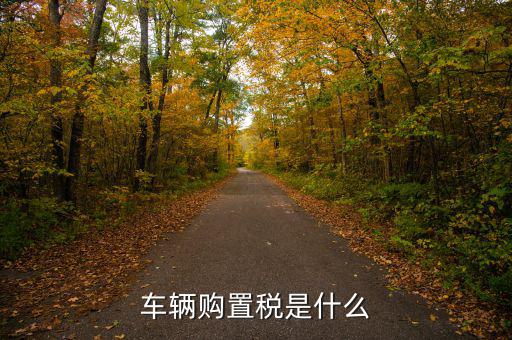 車購(gòu)稅資金是什么，購(gòu)置稅是什么