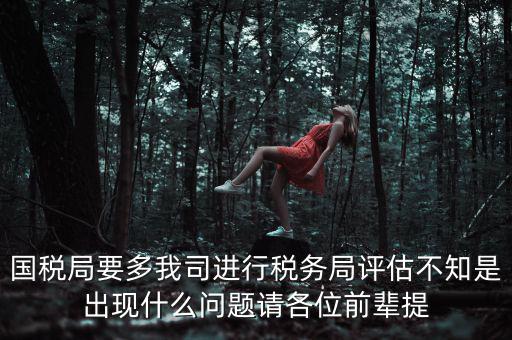 國稅評估局是干什么的，國稅局是做什么的說簡單點(diǎn)兒吧謝謝