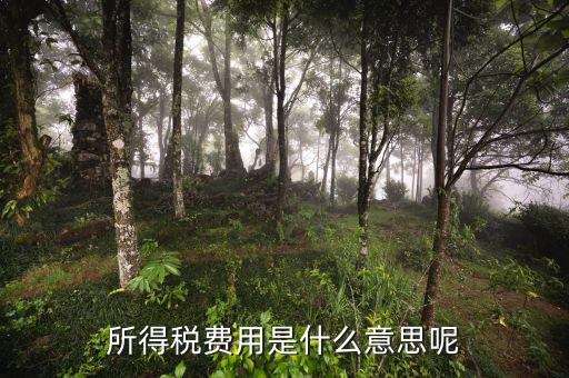 所得稅支出什么意思，企業(yè)所得稅是什么意思